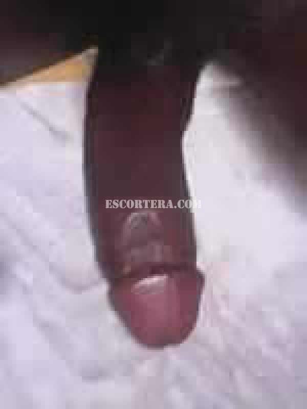 acompanhantes - ShemalleBlack - Portugal - Leiria - 915270286 - 4