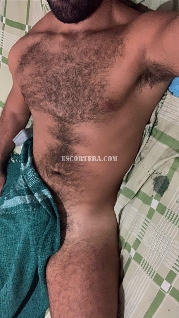 acompanhantes - Brunoopeludo - Portugal - Lisboa - 927095216 - 1